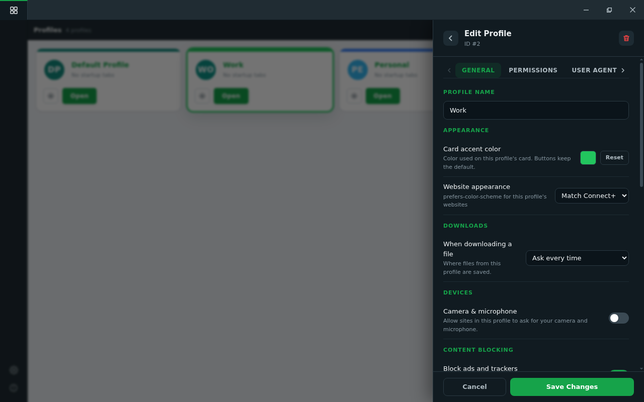 caption: A profile's settings panel — everything here applies to this profile only.
